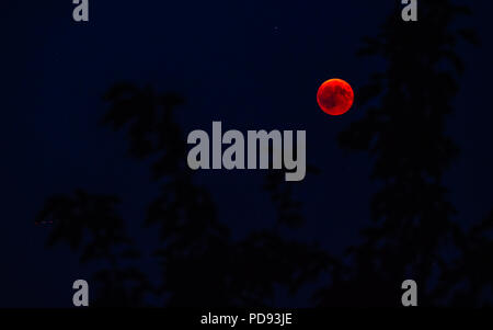 red full moon seen behind tree blood moon from 2018 switzerland Stock Photo