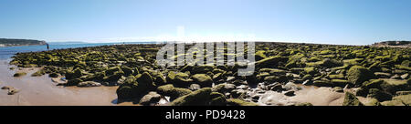 Thousands of rocks covered with silt are exposed on the seashore at low tide on the beach of Los Canos de Meca, in the province of Cadiz, southern Spa Stock Photo
