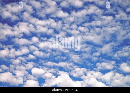 Detail of a mackerel sky or altocumulus clouds Stock Photo