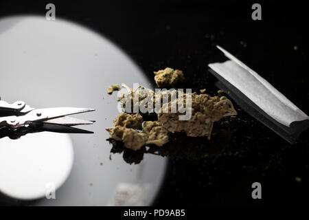 Close up of Marijuana on a black shiny table with scissors and rolling paper. Stock Photo