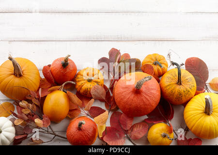 Fall background of colorful autumn pumpkins and leaves Stock Photo