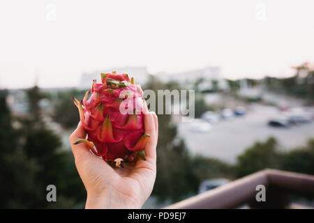 Close up food image of dragon fruit in woman's hand. Travel inspiration photo with a small depth of field. Blur background with copyspace for design. Stock Photo