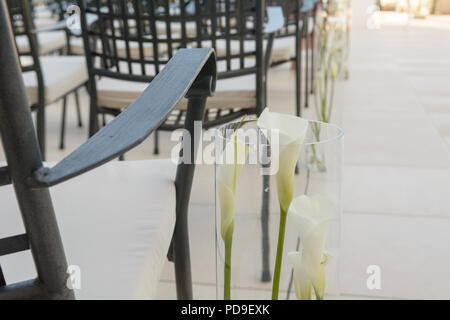 Kala flower in glass vase by the black steel chair Stock Photo
