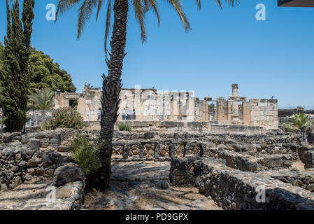The limestone White Synagogue over the ruins of the dark basalt rock village of Capernaum, on the shore of the Sea of Galilee, where Jesus and St Pete Stock Photo