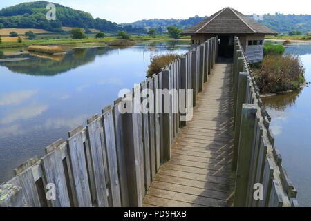 Wooden footpath with fence leading to The Island Hide in Black Hole Marsh at Seaton Wetlands local Nature Reserve in Devon Stock Photo