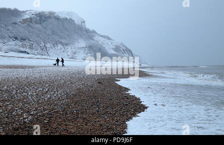 People walking dog on a snowy pebble beach in town of Seaton in Devon Stock Photo