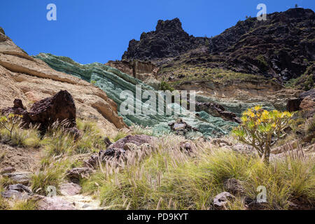 Turquoise colored rock layer Los Azulejos De Veneguera, Lamprey grass (Pennisetum alopecuroides) and balsam spurge (Euphorbia Stock Photo