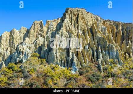 Huge sharp pinnacles of the Omarama clay cliffs, South Island, New Zealand Stock Photo