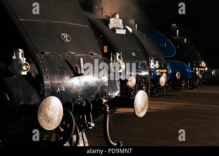 Six A4 s line up at Shildon on 18.2.14 during the gathering of the preserved A4 Pacifics. 4468 ,60009,60007,60008,4464 & 4489 Stock Photo