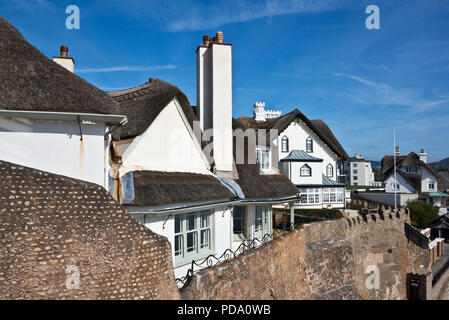 Regency style Thatched cottages on the seafront cliffs, taken from Connaught Gardens in Sidmouth Devon, England. Part of the South West Coast Path Stock Photo