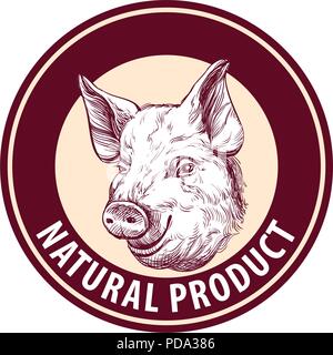 pig hand drawn vector llustration sketch. logo design template. farm Stock Vector