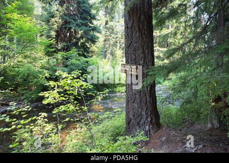 A sign warning of dangerous water falls ahead, at Willamette National Forest in Oregon, USA.