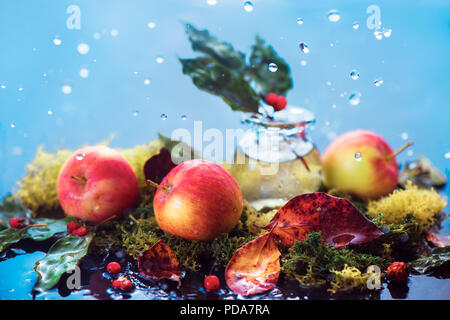 Autumn apples still life. Fall harvest header under the rain with water drops and copy space. Red small organic ranet apples with a glass jar and fallen leaves Stock Photo