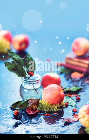 Autumn apples still life. Fall harvest under the rain with water drops and copy space. Red small organic ranet apples with a glass jar and fallen leaves Stock Photo