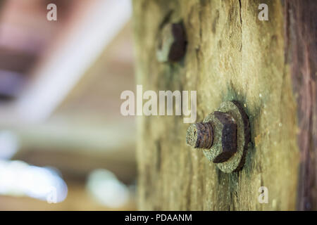 Old wooden door with bolt and nut Stock Photo