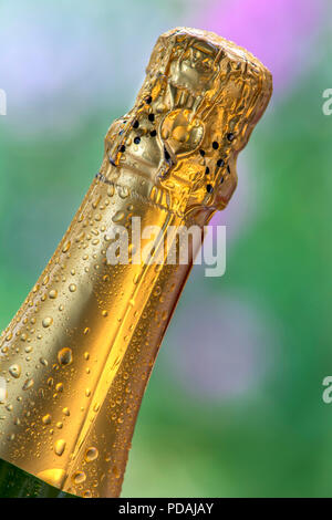 Gold foil capsule closure on chilled alfresco sparkling wine bottle neck in floral garden Stock Photo