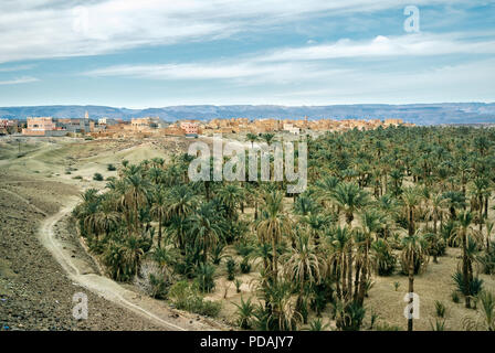 Top view of an oasis filled with palm trees with the medieval village of Kasbah Ait Ben Haddou in the background. Atlas Mountains, Morocco. Stock Photo