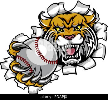 Wildcat Holding Baseball Ball Breaking Background Stock Vector