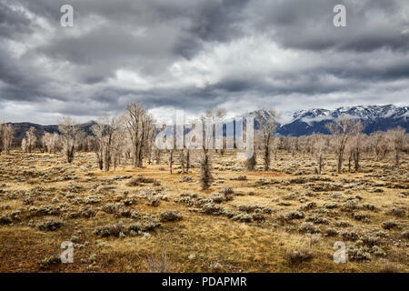 Dramatic sky over Teton Mountain Range, Grand Teton National Park, Wyoming, USA. Stock Photo