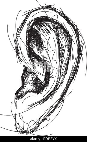 Sketchy ear Sketchy, hand drawn human ear. Stock Vector