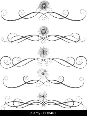 Assorted flower sketches with page rules Stock Vector