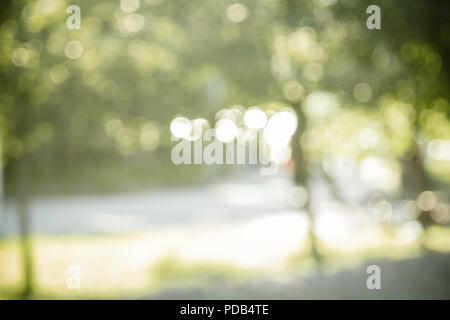 Natural green blurred background or bokeh background Stock Photo