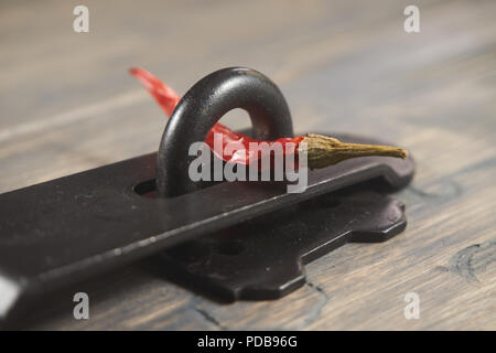 Old metal hasp and staple lock with a red hot chili pepper threaded through it in a conceptual image on a wood background Stock Photo