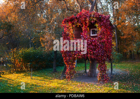 A house on a tree Stock Photo