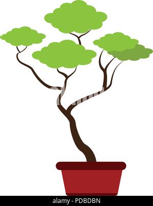 Bonsai in pot Stock Vector