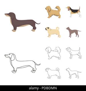Pikinise, dachshund, pug, peggy. Dog breeds set collection icons in cartoon,outline style vector symbol stock illustration . Stock Vector