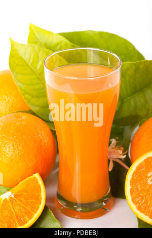 Oranges and orange tree leaves next to a glass full of orange juice isolated on white. Stock Photo