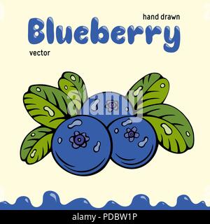 Blueberry vector illustration, berries images. Doodle Blueberry vector illustration in blue and green color. Blueberry berries images for menu, package design. Vector berries images of blueberry Stock Vector