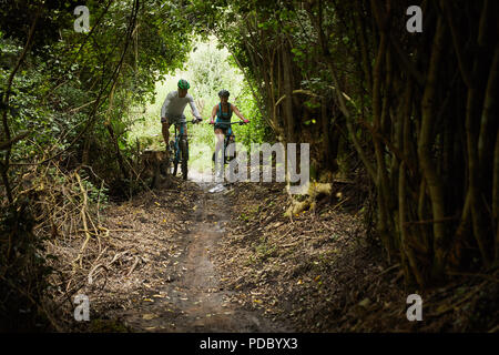 Couple mountain biking on trail in woods Stock Photo