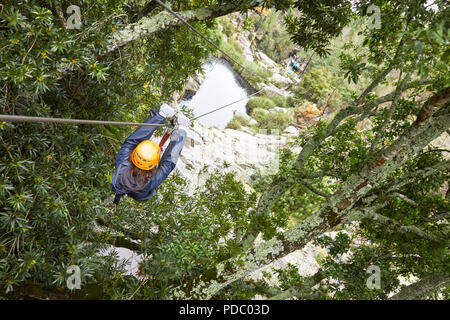 Woman zip lining among trees in woods Stock Photo