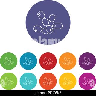Coccus bacilli icons set vector color Stock Vector