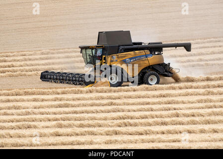Whitchurch, Hampshire, England, UK. Modern combine harvester working in a field of wheat Stock Photo
