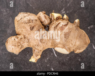 Whole ginger roots on dark old stone background table, space for text. Stock Photo