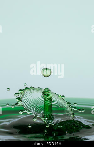 Macro photography of water drops on an orange tulip leaf Stock Photo ...