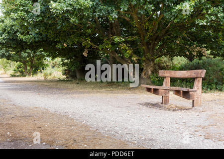 Empty wooden bench under an old English oak tree, Dorset, UK Stock Photo