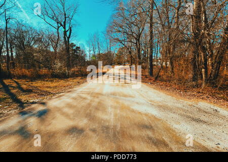 A wide angle view down a dirt road by woods out in the country with a dramatic blue sky. Stock Photo