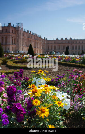 Colorful flowers in the garden of Palace of Versailles, summer, vertical closeup Stock Photo