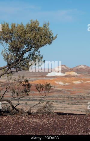 A scenic view of Kanku-Breakaways Conservation Park, Stuart Highway ...