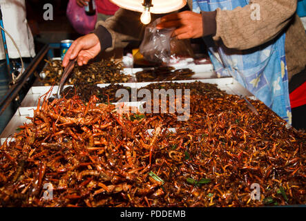 Sale of fried insects on the fast food counter in Bangkok city, Thailand Stock Photo