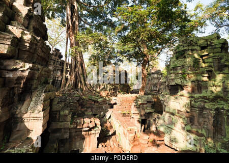 View of the Khmer temple Ta Prohm in Angkor Wat near Siem Reap town, Cambodia Stock Photo