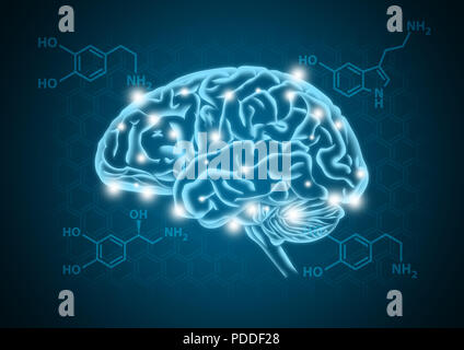 Human brain illustration with hormone biochemical concept background Stock Photo