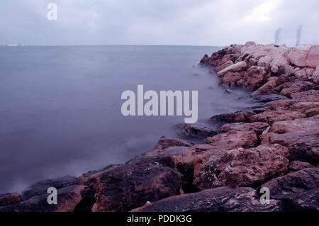 Landscape For Cornish Tartus Stock Photo Alamy