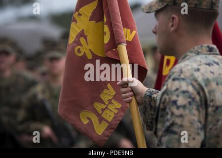 U.S. Marine Corps Cpl. Austin Herstek, an assault amphibian vehicle crewman with 2nd Assault Amphibian Battalion, 2nd Marine Division, holds a guidon in formation during a deployment for training (DFT) exercise at Fort Stewart, Ga., May 16, 2018. The DFT helps maintain proficiency in landing the surface assault element during amphibious operations to inland objectives with conduction mechanized operations and related combat support in operations ashore. Stock Photo