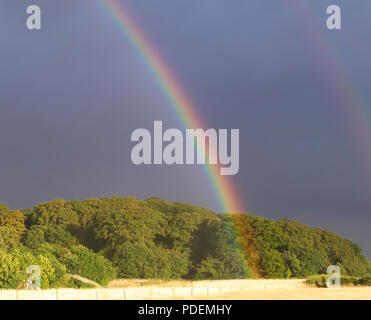 End of the rainbow in front of trees against a dark atmospheric sky after a rain storm with dry wheat field in the foreground Stock Photo