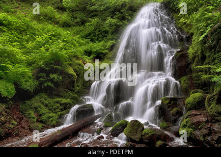 Wahkeena Creek pours 30 feet over Fairy Falls among the lush spring greenery in Oregon’s Columbia River Gorge National Scenic Area. Stock Photo