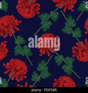 Red Chrysanthemum, Kiku Japanese Flower on Navy Blue Background. Vector Illustration. Stock Vector